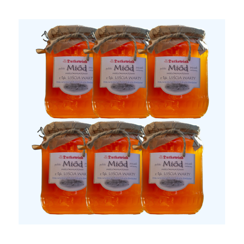 Meadow honey from the Warta river mounth 900g - 6-pack