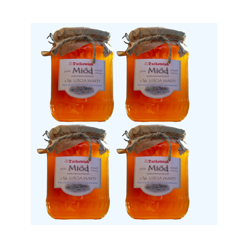 Meadow honey from the Warta river mounth 900g - 4-pack