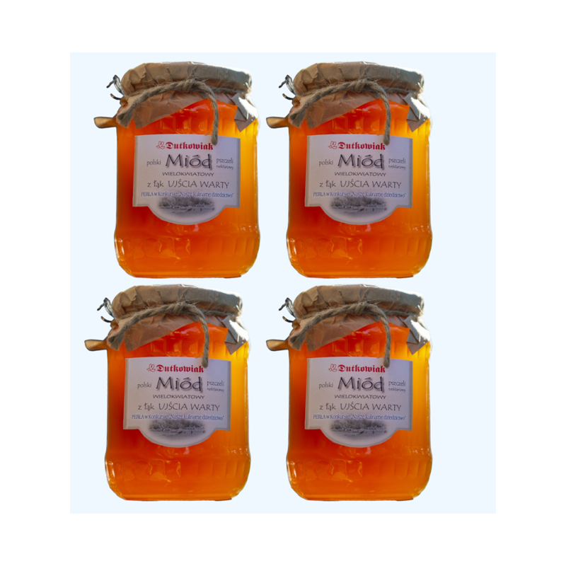 Meadow honey from the Warta river mounth 900g | Dutkowiak