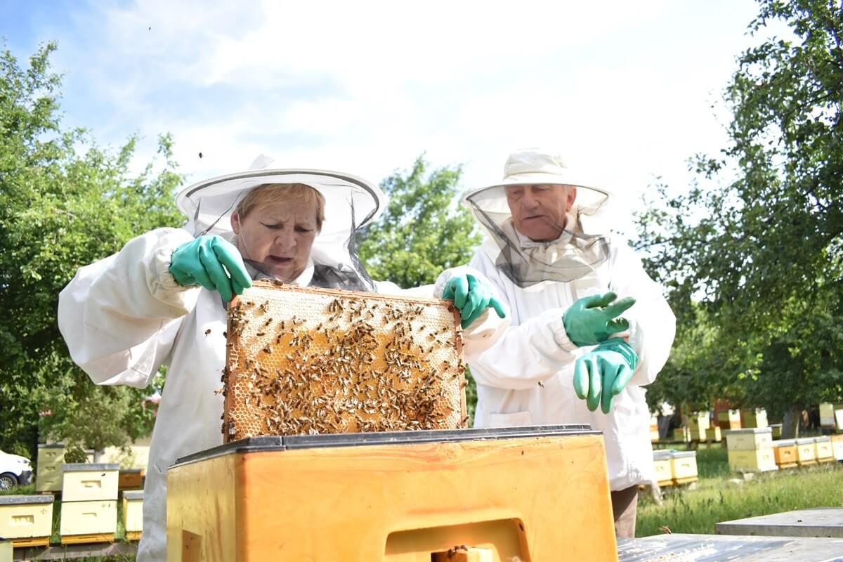 Miód pszczeli
