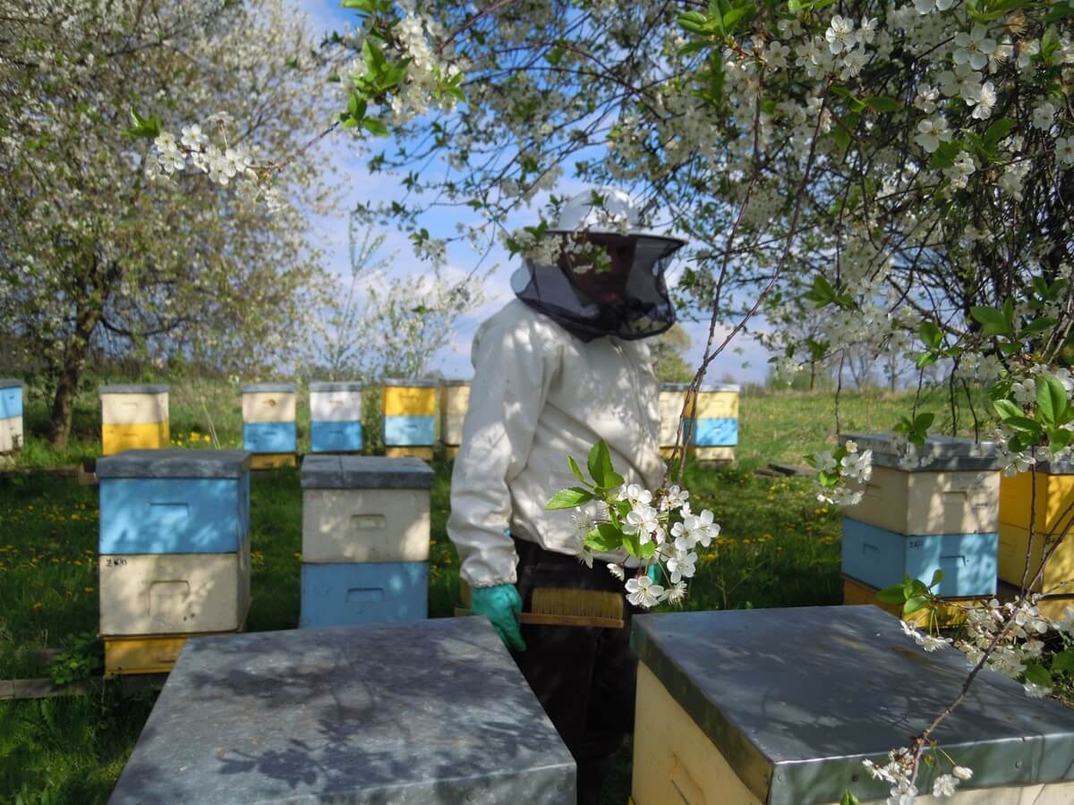 gospodarstwo pszczelarskie